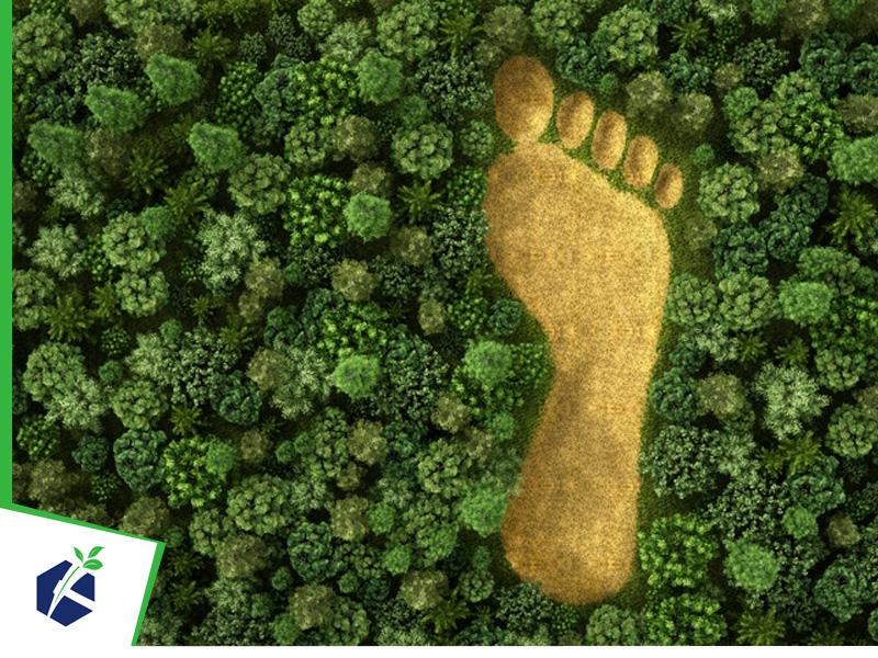 Estudo de Impactos Ambientais e Relatório de Impactos Ambientais (EIA-RIMA)