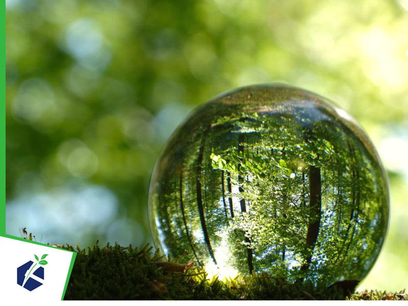 Projeto Técnico de Reconstituição de Flora (PTRF)