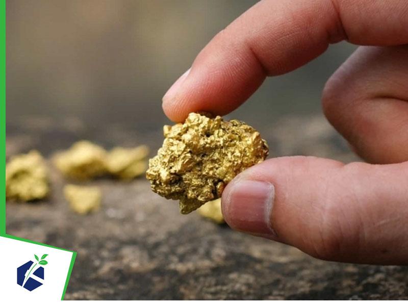 Requerimento de Permissão de Lavra Garimpeira (PLG)